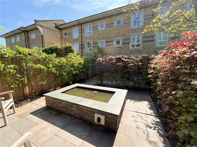 Picture 20